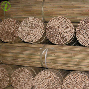 Fumigated straight bamboo cane for plant supporting