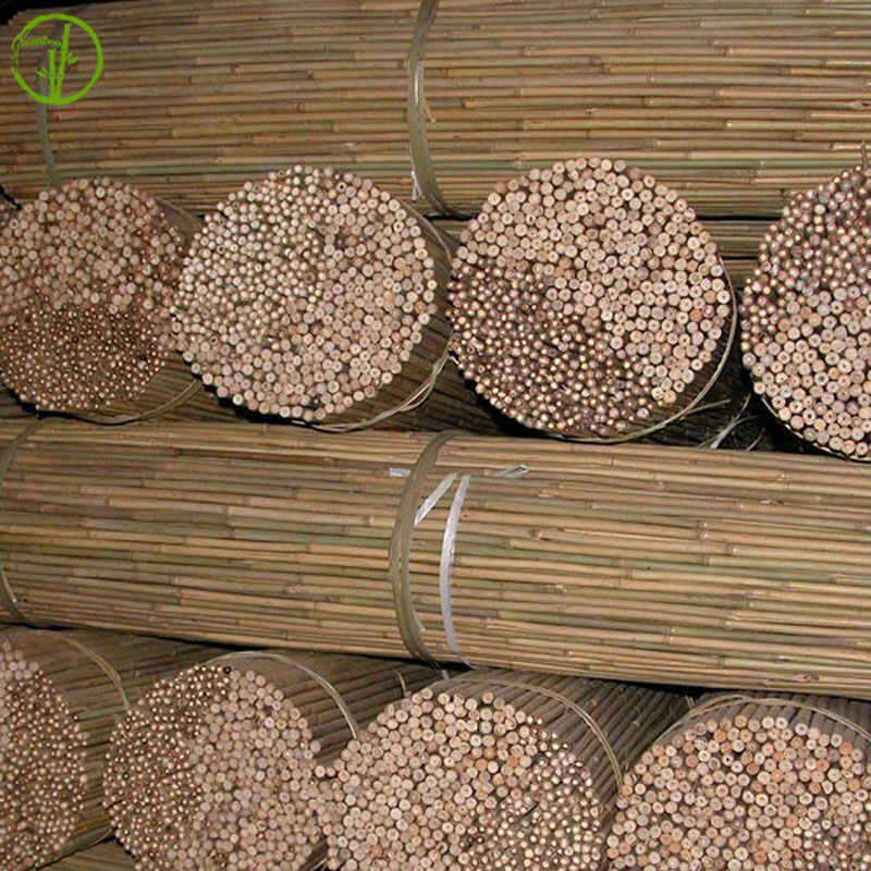Fumigated straight bamboo cane for plant supporting