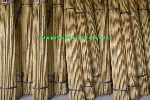 bamboo cane 4