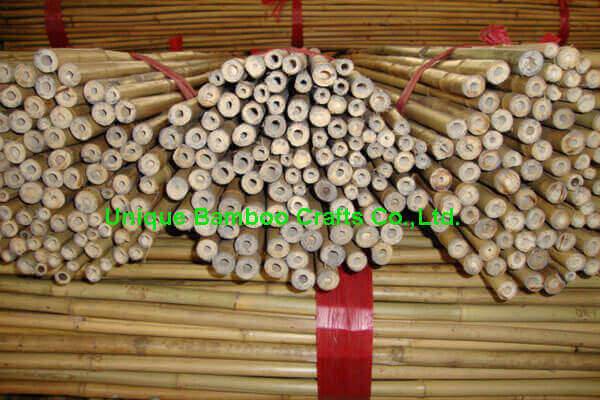 bamboo canes 1
