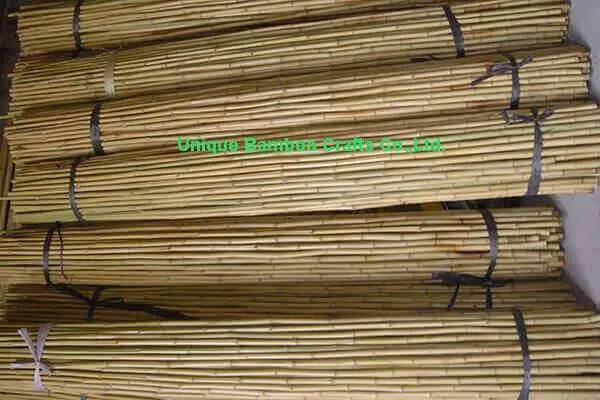 bamboo canes 3 bamboo canes 3