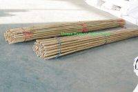 bamboo canes 4
