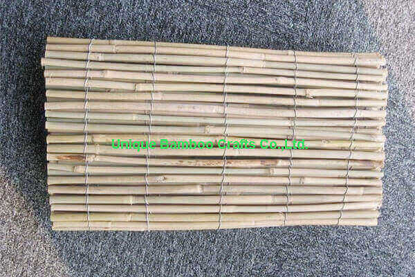 bamboo fence 1