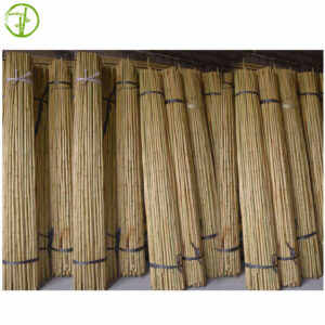 fumigated and dry bamboo cane for farm plant supporting