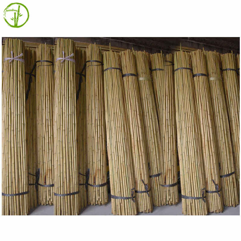 fumigated and dry bamboo cane for farm plant supporting