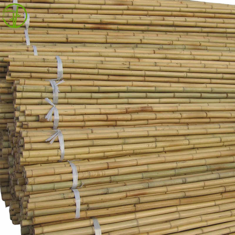 fumigated bamboo canes for agricultural plant supporting