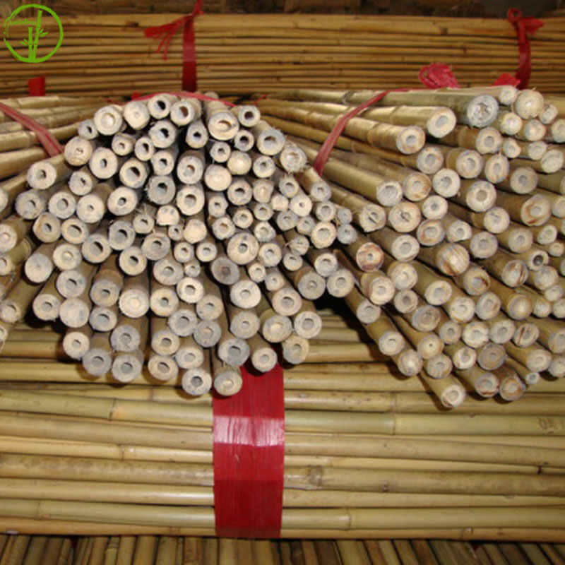 fumigated dry bamboo canes for plant supporting