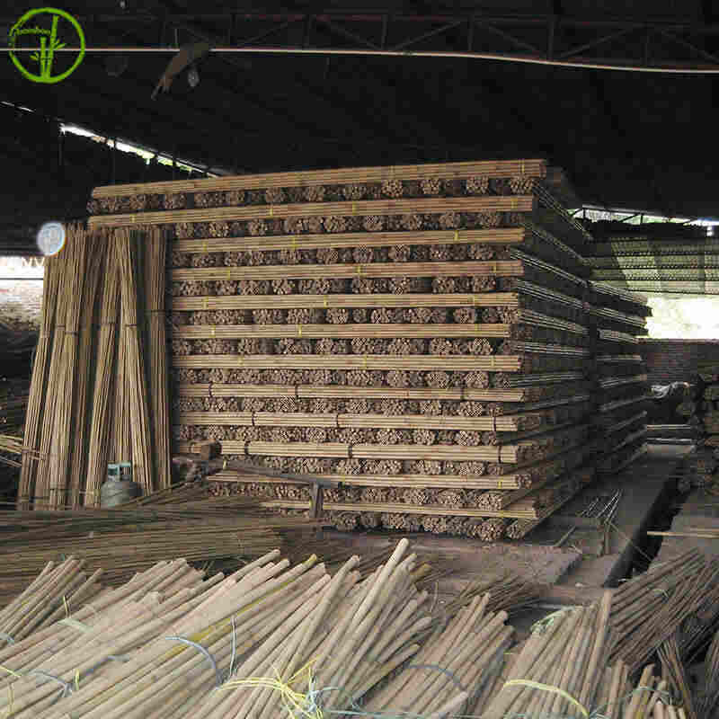 natural bamboo cane for supporting flower and nursery
