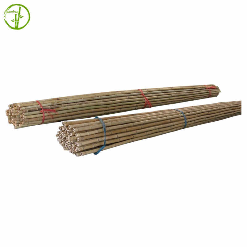 natural dry bamboo canes for farm vegetable supporting
