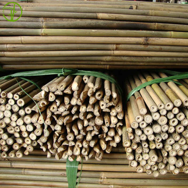 straight bamboo cane for garden plant supporting
