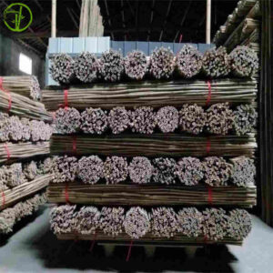straight bamboo canes for plant or flower supporting