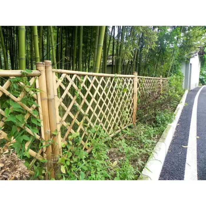 bamboo fence-1