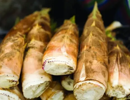 How to make bamboo shoots delicious?