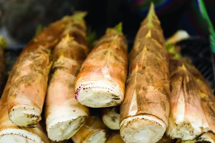 How to make bamboo shoots delicious?
