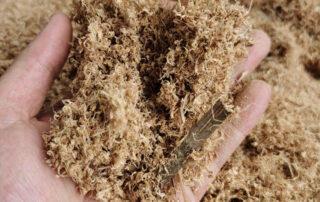 bamboo sawdust