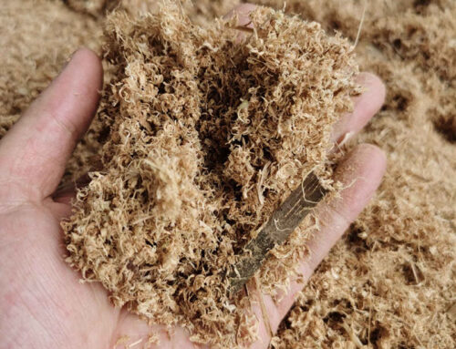 Do You Know The Multifaceted Uses of Bamboo Sawdust?