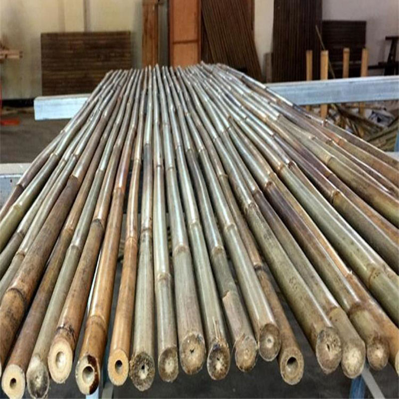 bamboo_cane_2
