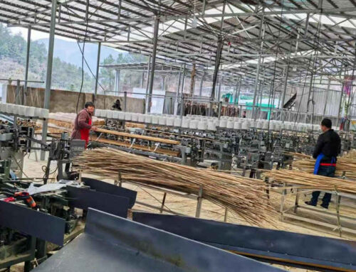 Guide to Bamboo Products Processing Machinery