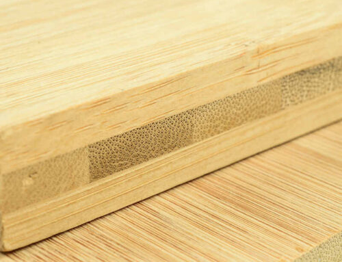 Bamboo Panels: From Culm to Custom Bamboo Products