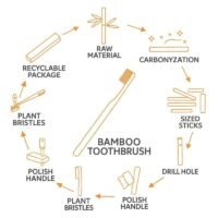 Toothbrush Making Manufacturing process of bamboo toothbrushes - uniquebamboocraft