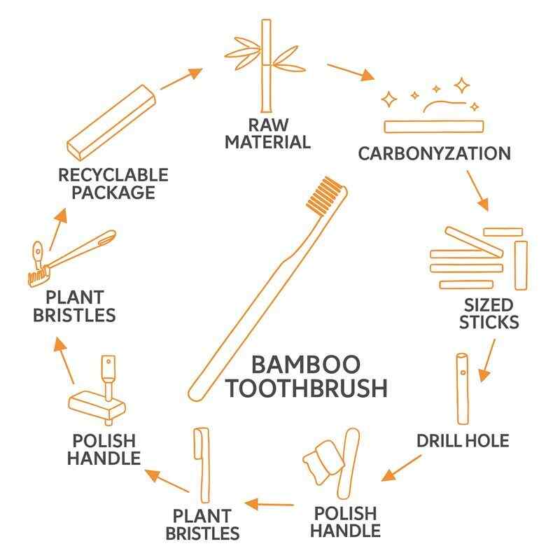 manufacturing process of bamboo toothbrushes
